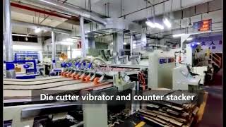 5 Color Flexo Printer Hard Die Cutter Vibrator Counter Stacker Inline With Robert Palletizer