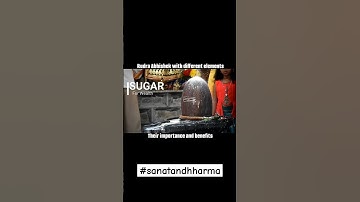 Rudra Abhishek- different elements, their importance & benefits #viral #shorts #rudrabhishek #shiv