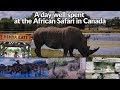 We Visited African Lion Safari Hamilton | Where to visit in Ontario Canada | Living in Canada Vlog