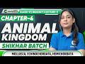 Class 11 Biology Chapter 4 Animal Kingdom Lecture 5 | Mollusca Echinodermata Hemichordata