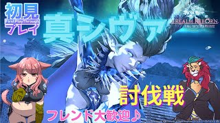 【FF14配信】真シヴァを一緒に倒したいo(^▽^)oそのほかも一緒に遊ぼう♥新人Vtuberファイナルファンタジー14／FINALFANTASYXIV ドラクエ10