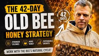 The 42-Day Old Bee/Honey-Producing Strategy!!