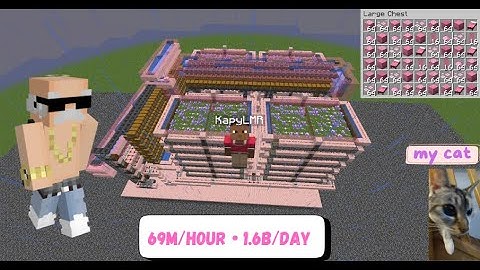 🌸 Insane Pink Petal Farm  1.6B per Day  – Donut SMP!