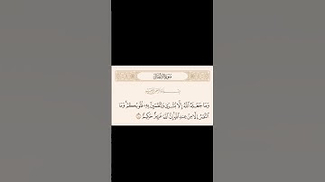 (وما النصر الا من عند الله) سورة الانفال بصوت القارئ زكرياء #هشام_الهراز
