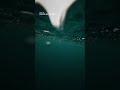 カメラを海の中へ入れてみたら…🌊 豪雨の日に見えた特別な景色|Osmo Action 6