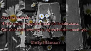 Fon Müzik Papatya Falında Aşk Paylaşıp Abone Olarak Daha İyi Videolar Yapmam İçin Destek