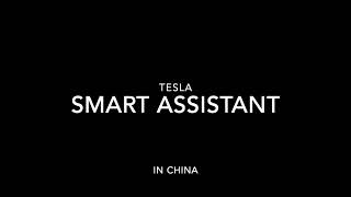 Tesla adds Smart Assistant in China with software update 2023.44 screenshot 3