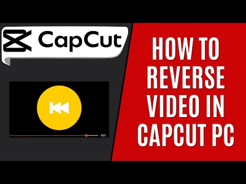 How to Reverse Video in CapCut PC [Quick Guide]