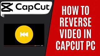 How to Reverse Video in CapCut PC [Quick Guide]