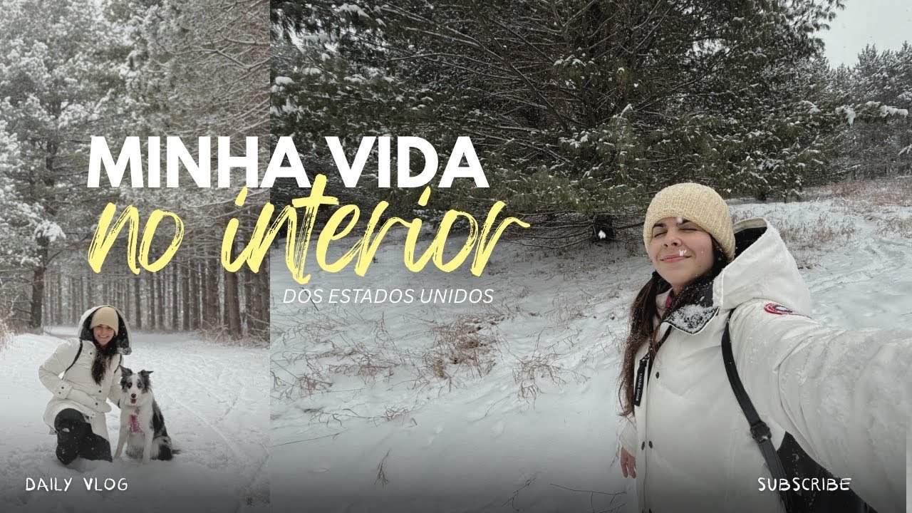 neve + frio: como são nossas tardes de inverno no interior dos Estados Unidos 🇺🇸 | vlog wisconsin 