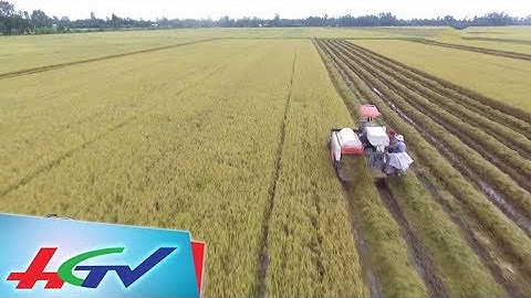 Tiềm năng của khu nông nghiệp ứng dụng công nghệ cao | HẬU GIANG XÚC TIẾN ĐẦU TƯ 2017