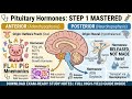 Pituitary Hormones Explained | High-Yield USMLE Step 1