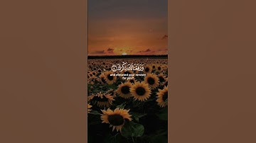 أكتب شيء تؤجر عليه -- أرح نفسك #سورة_الشرح #القرآن_الكريم #ارح_سمعك