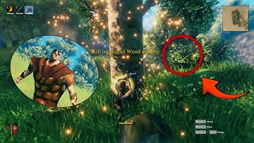 10 Things You Need to Know Before Playing Valheim - Server.pro