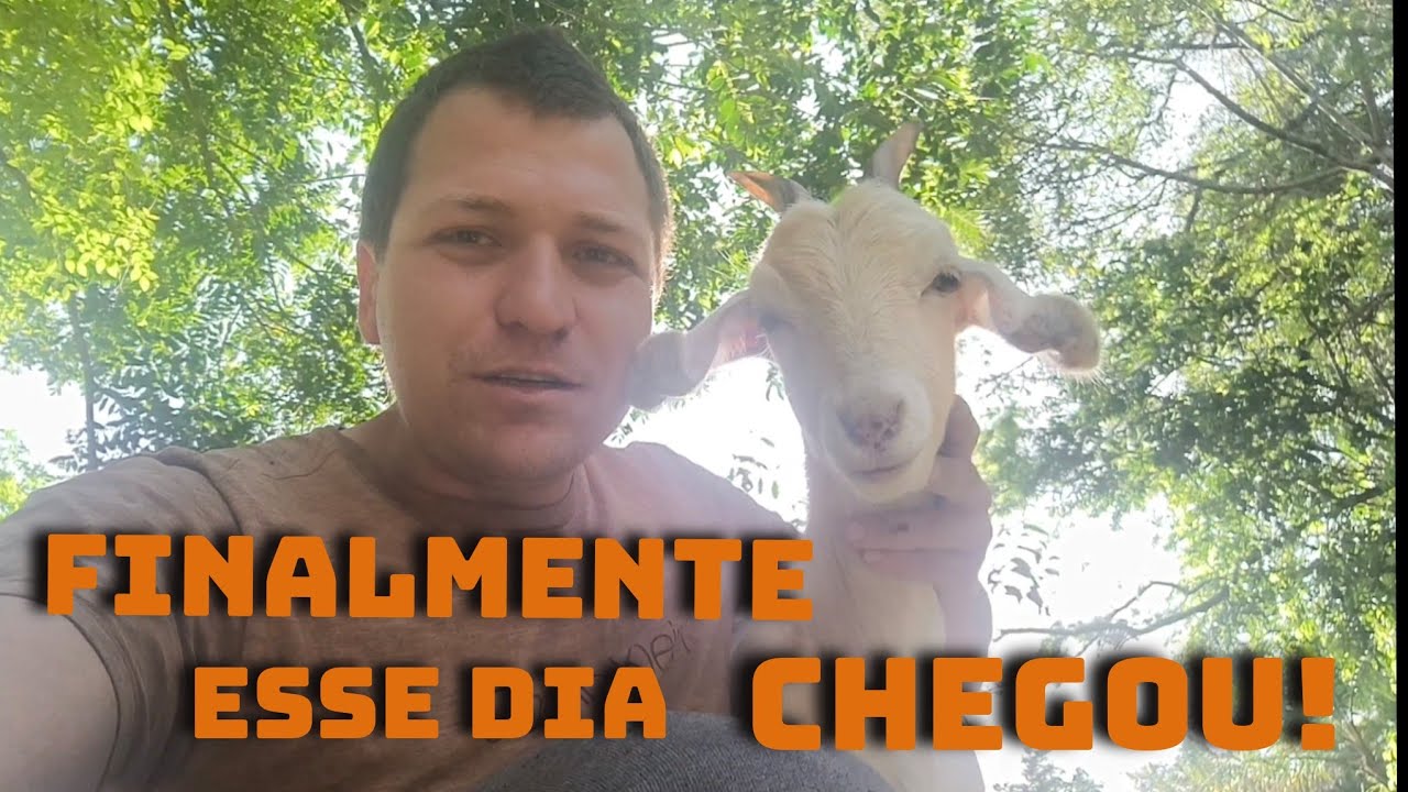 ESTAVA MUITO ANSIOSO POR ESSE DIA! EP-780