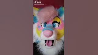 Furry TikToks!