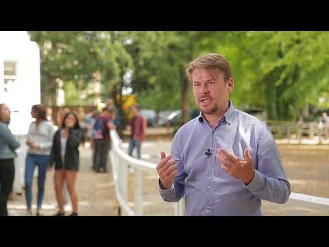 სინქრონები და კემბრიჯი