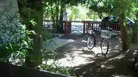 Kathleen's yard, part 1
