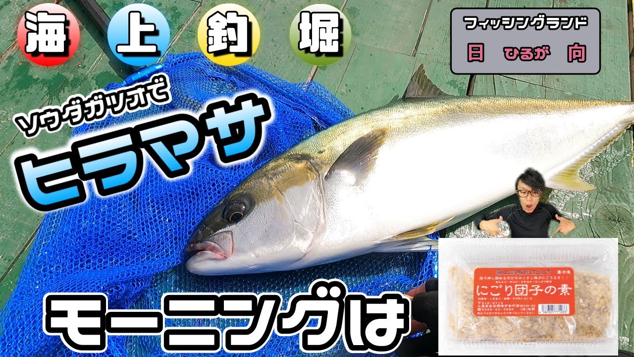 【海上釣堀】初めての上級コース！作戦ミス？次回釣行の作戦を練る