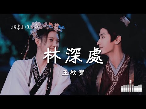 王秋實 | 林深處 (網劇《難尋 Hard to Find》) Official Lyrics Video【高音質 動態歌詞】