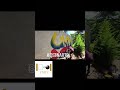 Unity Art Collective: Creating the Mural Photo Booth at Lifestyle