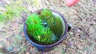 MEIN NEUES KOCHBUCH: https://www.bushcraft-schwarzwald.de/ Outdoor ...