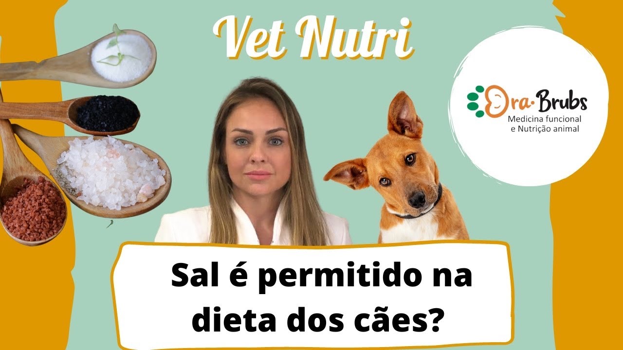 Sal é permitido na dieta dos cães?