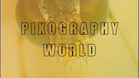 Channel Intro | Marvel theme | Intro | Marvel Theme Using Filmora9 | Pixography World | Video