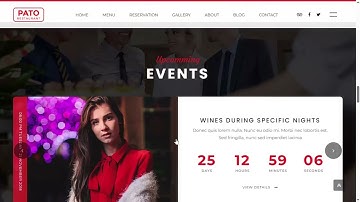 Pato Restaurant Website | Modern Restaurant Web Design Showcase 2025