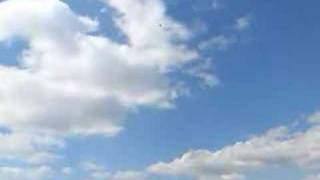 Autorotation T-rex 500 Phoenix