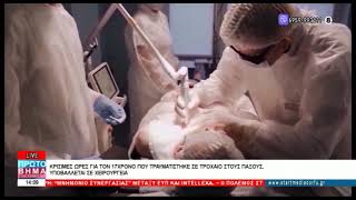 ΠΡΩΤΟ ΒΗΜΑ 14 04 2026