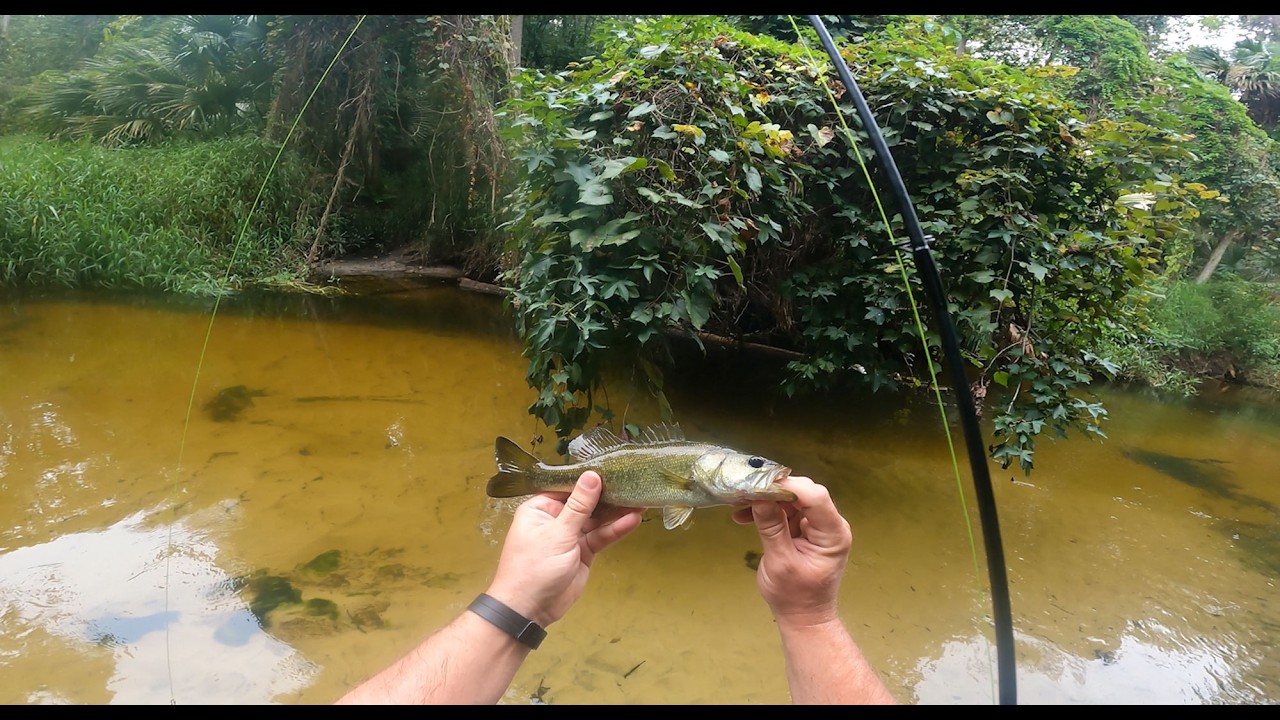 Bass Fishing in a tiny river – Found a 100 year old sulfur spring
