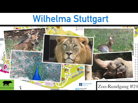 Video: Zoologijos sodas Štutgarte