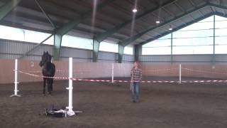 Horsemanship 3