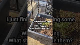 Day one of the Plant Chapter #plants #gardening #garden #vegetables #spring #growing
