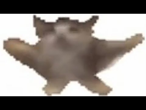 Шнип шнап шнапи мем с котом
