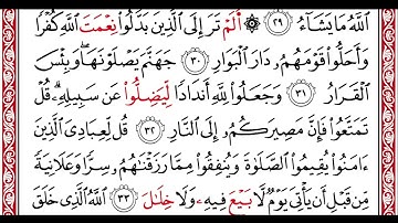 …‏Okasha Kameny سورة ابراهيم  برواية البزي عن ابن كثير المكي .. الشيخ عكاشه كميني