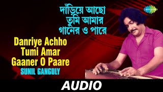 Danriye Achho Tumi Amar Gaaner O Paare (Guitar) | Tumi Rabe Neerabe | Sunil Ganguly | Audio