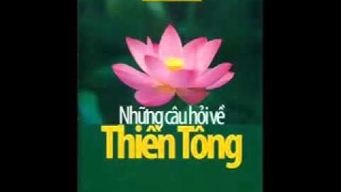 Những câu hỏi về Thiền Tông   THIỀN TÔNG TÂN DIỆU   ĐĨA 04