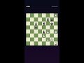 🧩 The Deadly King Hunt: Karl vs Gerhard #shorts #chess #checkmate #chesspuzzle #tactics #brilliant
