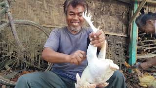 Download Lagu Masak ingkung ayam untuk acara maulid Nabi @ Gesing MP3