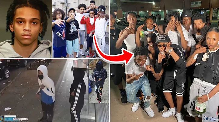 New York's Deadly Gang War: The Bronx vs Harlem