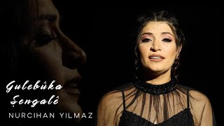 Nurcihan Yılmaz - Gulebûka Şengalê