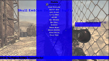 FlupeeHackz PvT V2 MW2 Patch (Update)