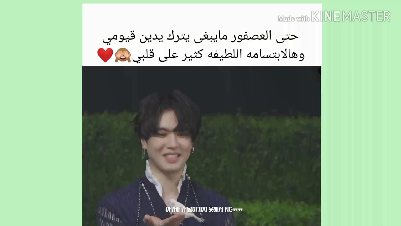 جولة انستغرامية قوتسفن ترويجات نت باي ذا مون -(جيبوم يتحلطم،قيومي والعصفور،لطافة بام مع المعجبات..)