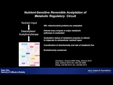 Video: SIRT3 și SIRT4 Sunt Proteine supresoare De Tumoră Mitocondriale Care Conectează Metabolismul Mitocondrial și Carcinogeneza