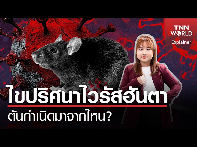 ไขปริศนา "ไวรัสฮันตา" ต้นกำเนิดมาจากไหน? | TNN WORLD | 12-05-26