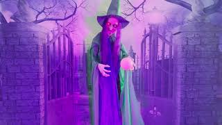 Haunted Hill Farm 2023 Vadoma the Animatronic Talking Fortune Teller screenshot 4