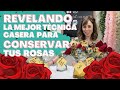 COMO CONSERVAR LAS ROSAS POR MAS TIEMPO ¡MITOS Y VERDADES! 🌹 🌹