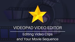 Editing Video Clips and Movie Sequences | VideoPad Video Editor Tutorial screenshot 5